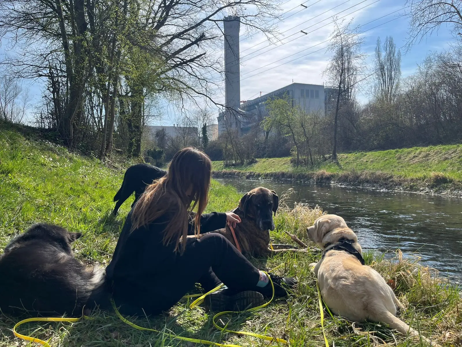 Jessica sits in the grass on the riverbank with four dogs.