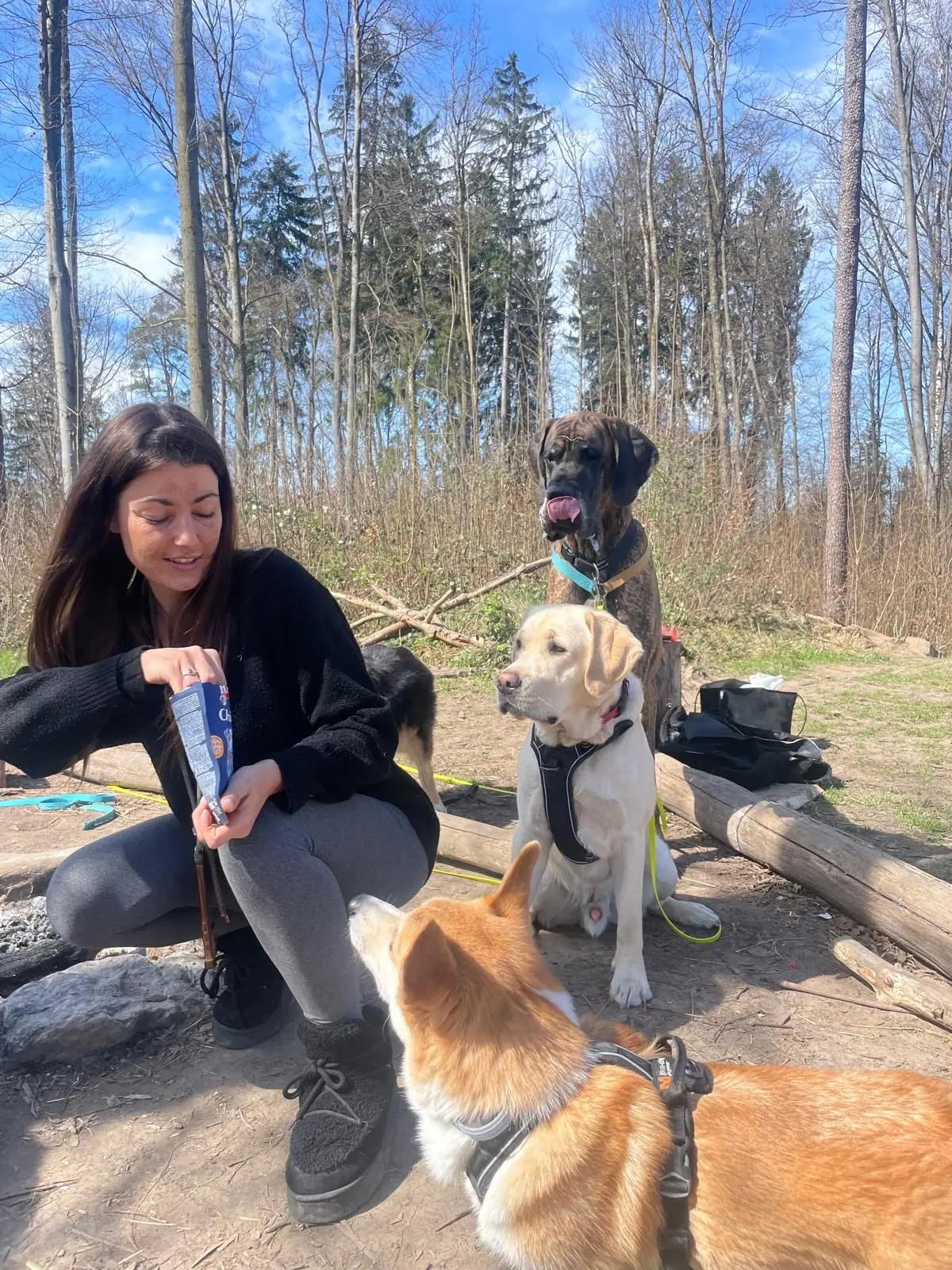 Jessica kauert im Wald und holt Leckerli aus einer Tüte, drei Hunde schauen aufmerksam zu.