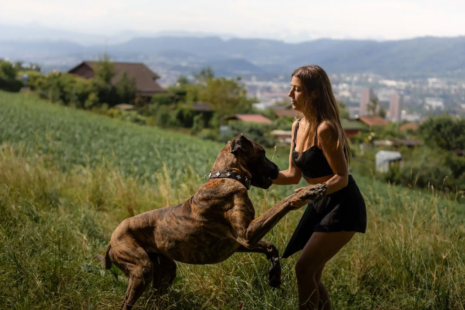 Jessica plays with Grizzly, her Great Dane, in a meadow above Zurich.